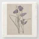 Search for charles rennie mackintosh Flowers