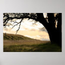 Recherche de chêne posters Coucher du soleil