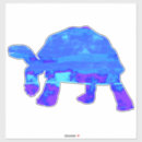Search for cute tortoise Ocean