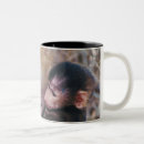 Recherche de de babouin tasses Nature
