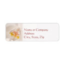 Search for orchid return address labels Bloom