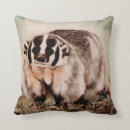 Search for badger pillows Wildlife