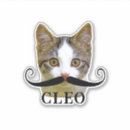 Recherche de chat moustache autocollants Animal