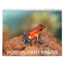 Recherche de dard de poison Faune