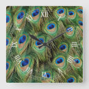 Recherche de peacock clocks Paon