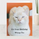 Search for insulting birthday cards Sarcastic