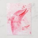 Recherche de dauphin rose posters Eau