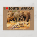 Recherche de elephants cartes postales Faune