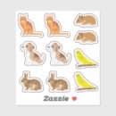 Search for cute brown bunny stickers Rabbit