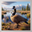 Search for canada goose posters Bird