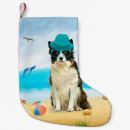 Recherche de border collie chaussette de noël Pour tous