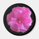 Recherche de arbre fleurissant magnets Plante