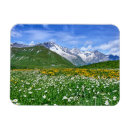 Recherche de swiss magnete Suisse