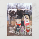 Search for cowboy postcards Humour