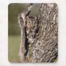 Search for screech mousepads Danita delimont