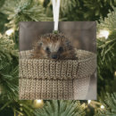 Search for hedgehog ornaments Young animal