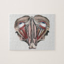 Search for human anatomy puzzles Medicine