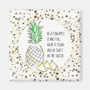 Search for pineapples magnets Fun