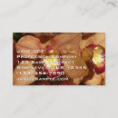 Recherche de orchidee cartes visite Photographie