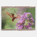 Search for hummingbird blankets Purple