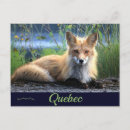 Recherche de percé cartes postales Québec