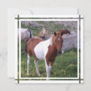 Search for painted pony invitations Ponies