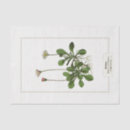 Recherche de botanical tissue paper Floral