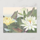 Recherche de fleur de lotus blanc cartes postales Pour elle