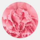 Search for up close stickers Beautiful