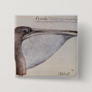 Search for beaks buttons White