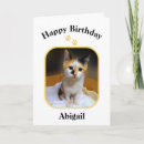 Search for calico kitten cards Cat