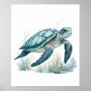 Search for coral reef posters Ocean