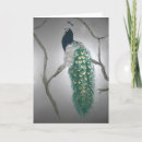 Search for nature cards Peacock