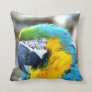 Search for parrot pillows Blue