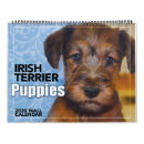 Recherche de irish bureau fournitures Chien