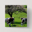 Recherche de normandie badges France