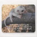 Recherche de planeuse tapis souris Sucre