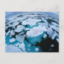 Recherche de la mayenne cartes postales Glace