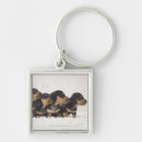 Search for mini keychains Dog