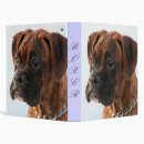 Search for paper box binders Boxer