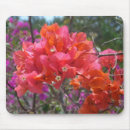 Search for turk mousepads Tropical