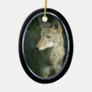 Search for coyote ornaments Canine