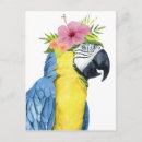 Recherche de oiseau perroquet cartes postales Oiseaux