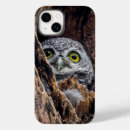 Search for wood owl iphone cases Woods