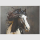 Search for gypsy vanner horse Black and white horse