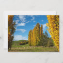 Search for sheep stamp cards Countryside
