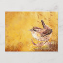 Recherche de watercolor bird cartes postales Aquarelle