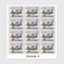 Search for walrus stickers Arctic