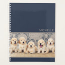 Search for golden retriever office supplies Puppy
