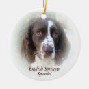 Search for springer spaniel ornaments Pet